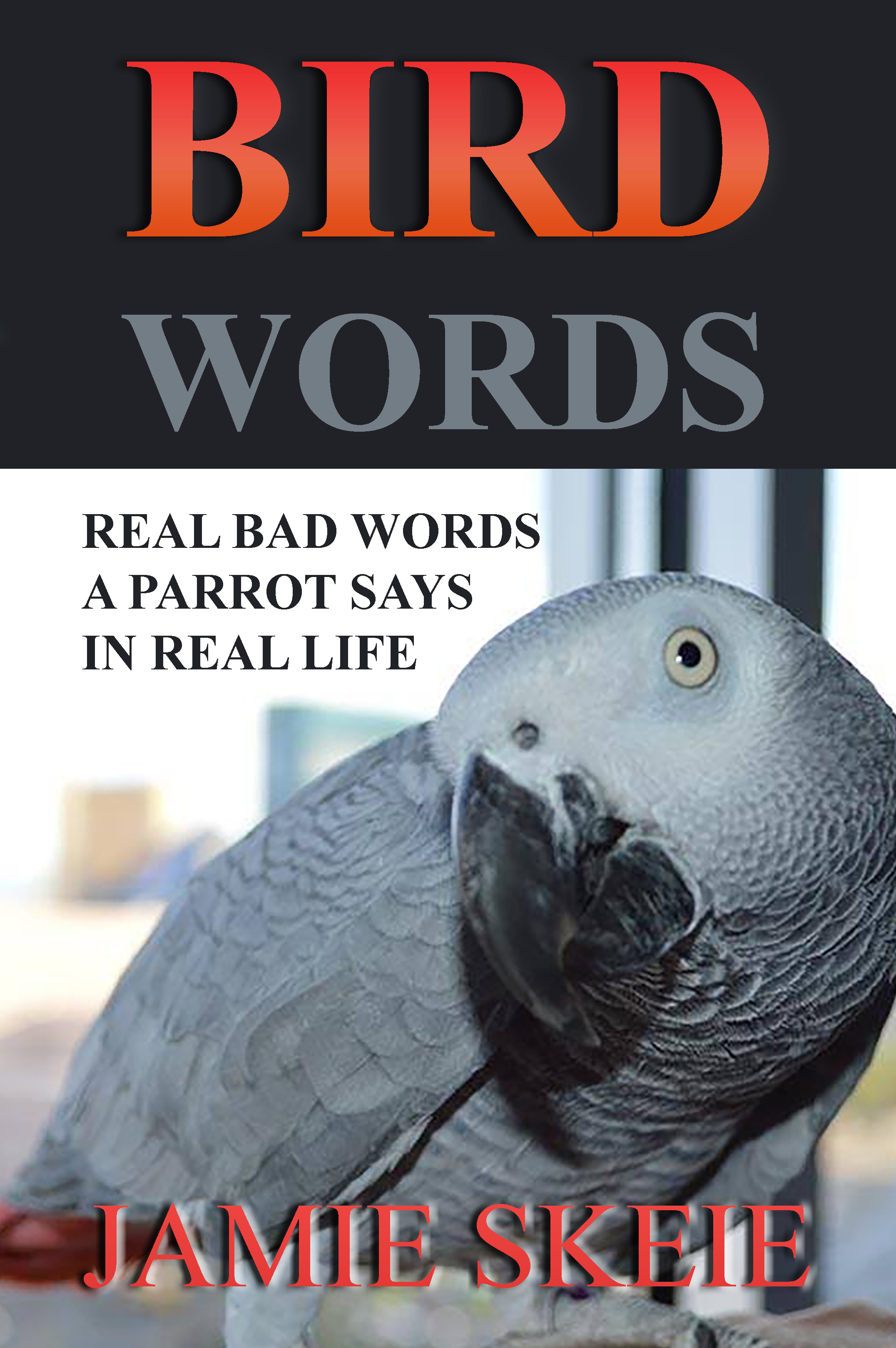 bird-words-cover.jpg